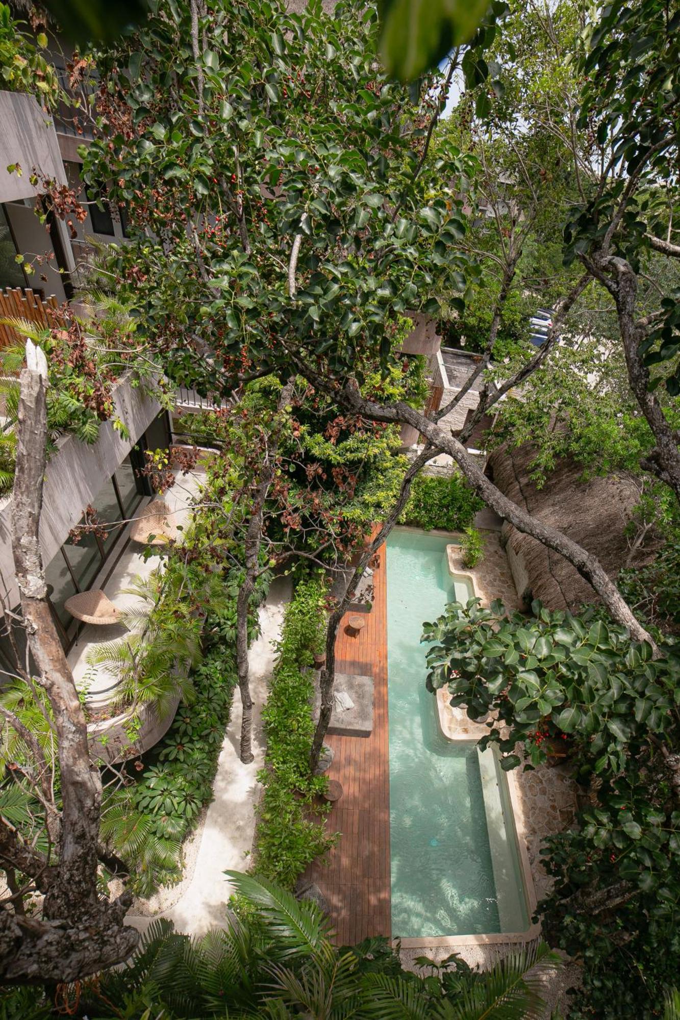 Zereno Tulum Beach Club Access Ngoại thất bức ảnh